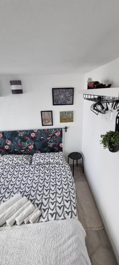 Garden Room 比萨 外观 照片