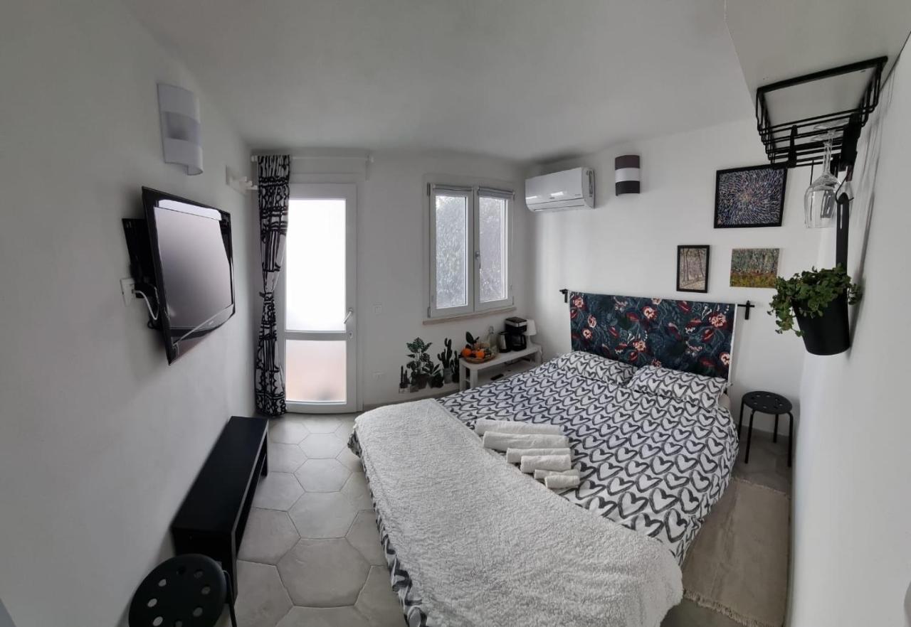 Garden Room 比萨 外观 照片